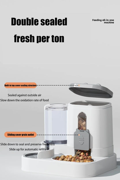 Pet Auto Feeder Bowl