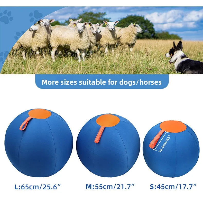 Inflatable Dog Chew Ball