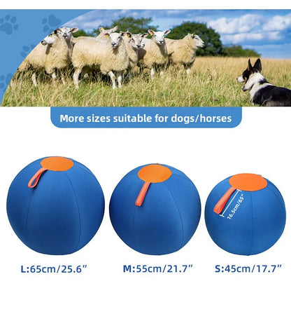 Inflatable Dog Chew Ball