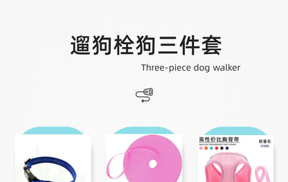 Long Dog Training Leash