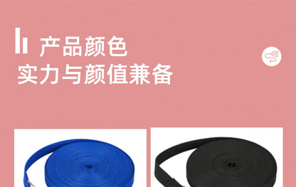 Long Dog Training Leash