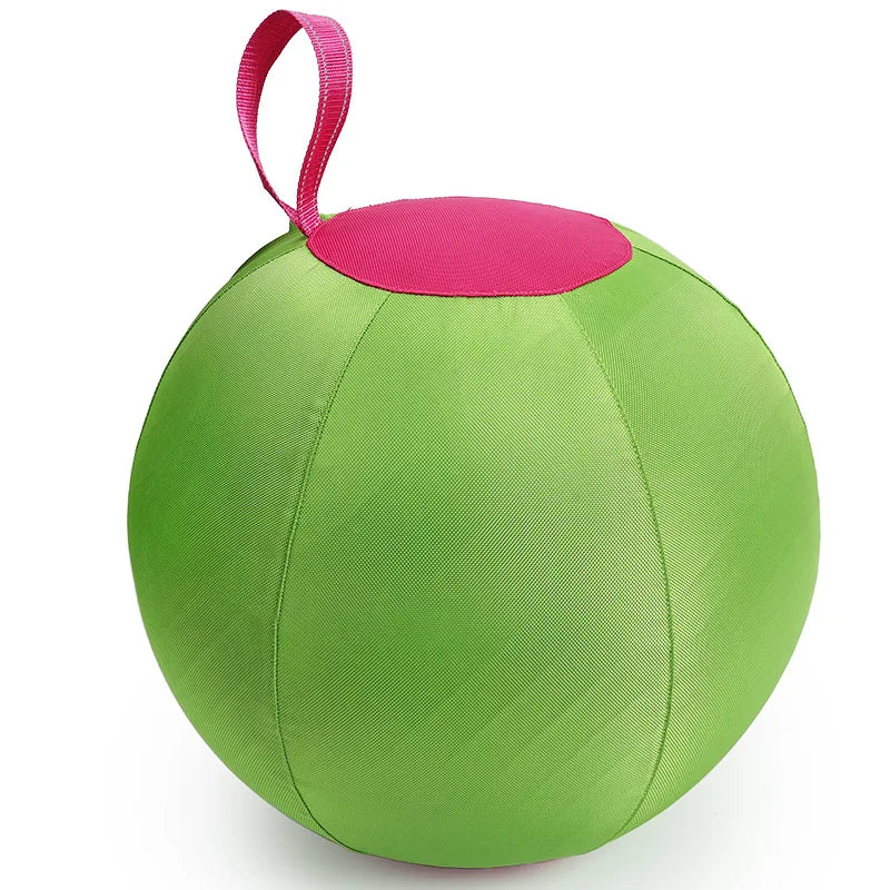 Inflatable Dog Chew Ball