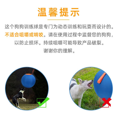 Inflatable Dog Chew Ball