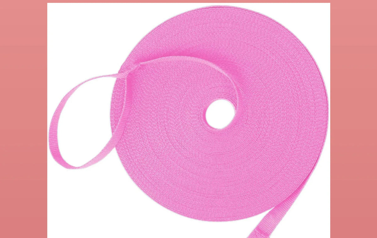 Long Dog Training Leash