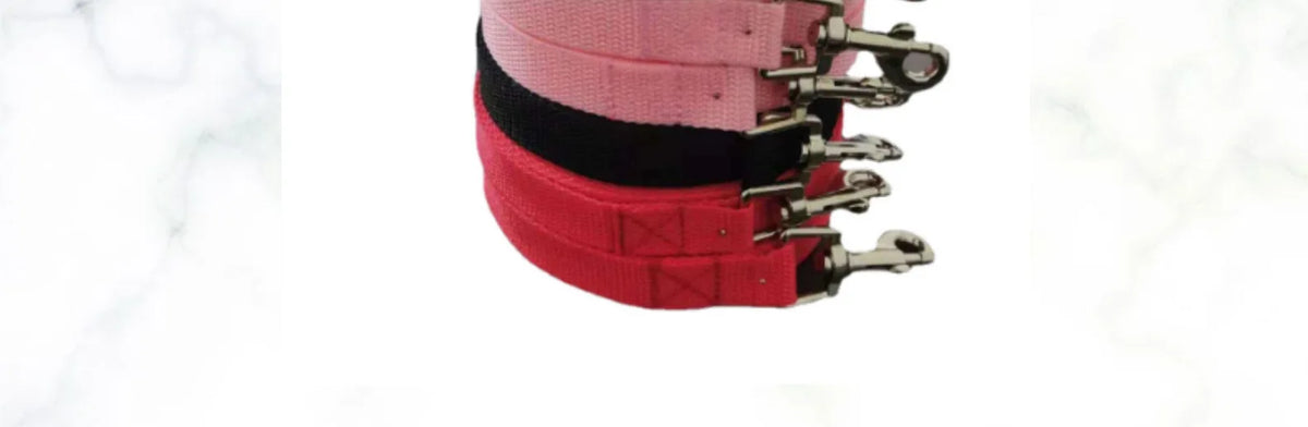 Long Dog Training Leash