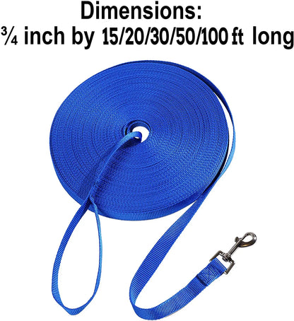Long Dog Training Leash