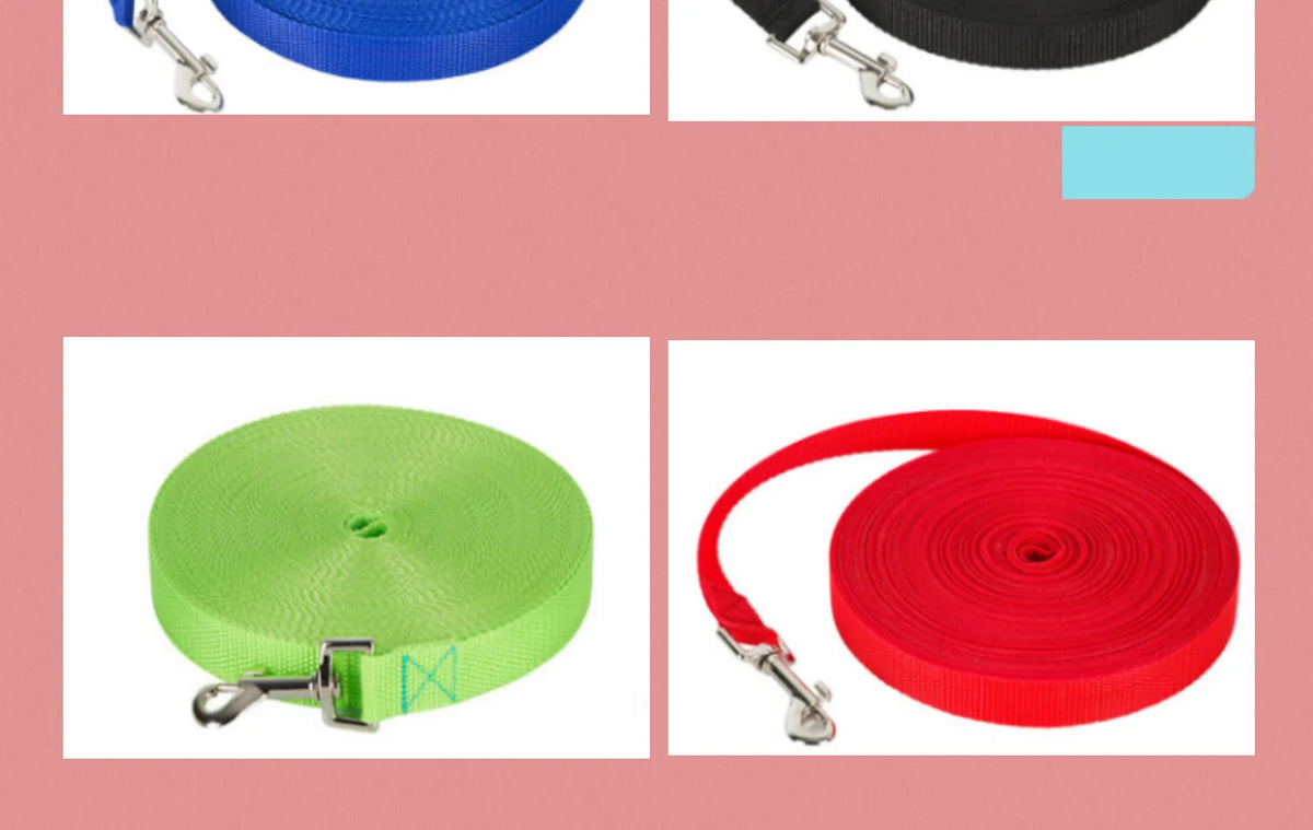 Long Dog Training Leash