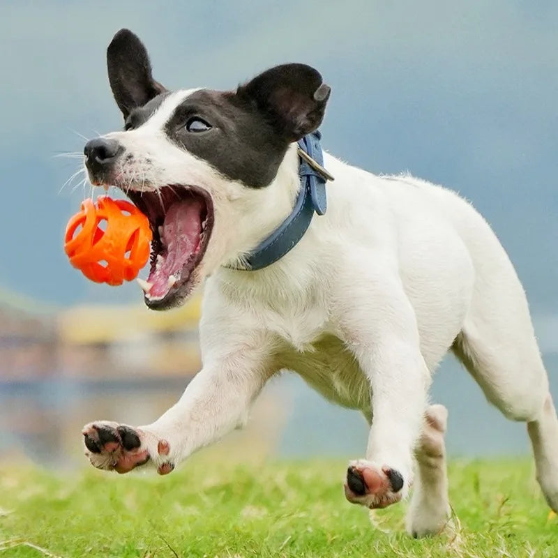 Hollow Elastic Pet Balls