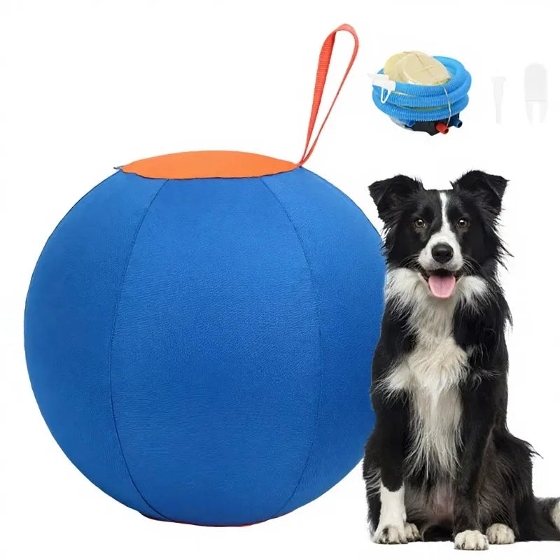 Inflatable Dog Chew Ball