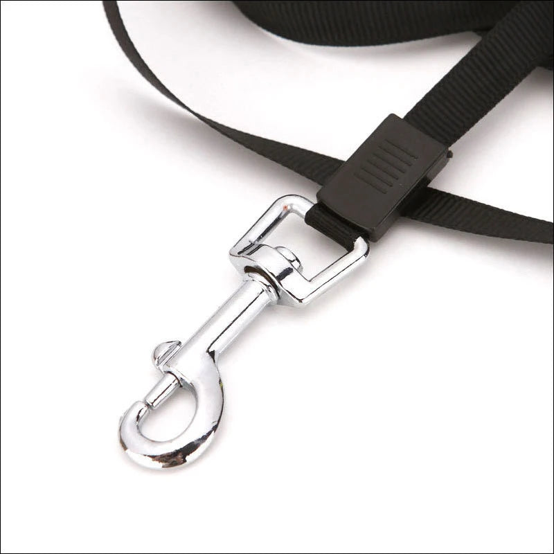 Retractable Dog Leash