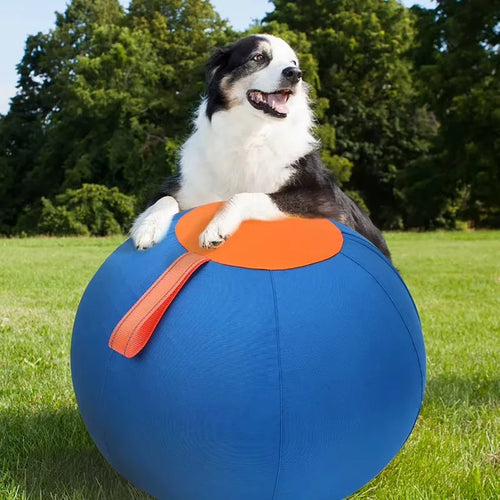 Inflatable Dog Chew Ball