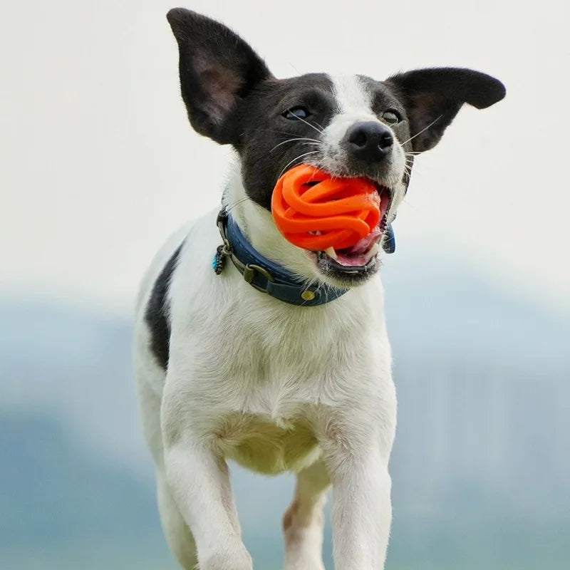 Hollow Elastic Pet Balls