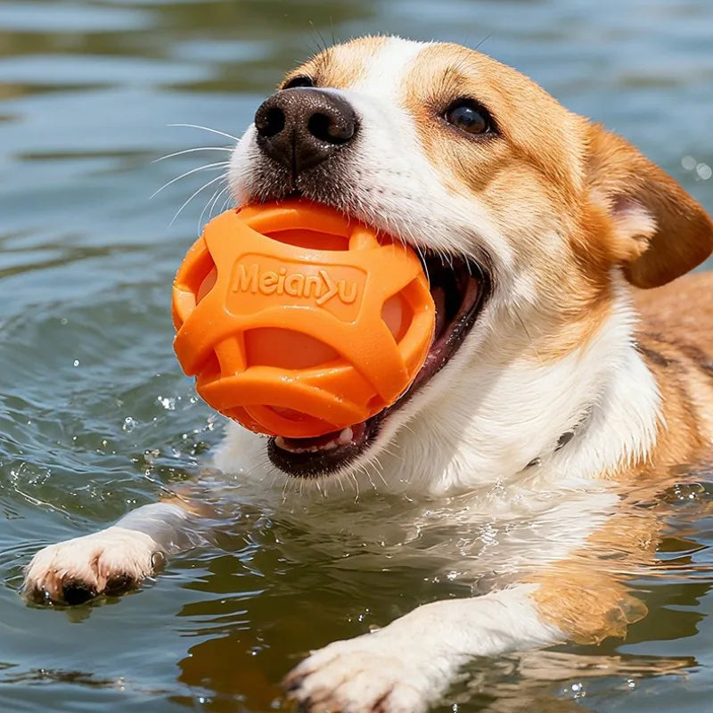 Hollow Elastic Pet Balls