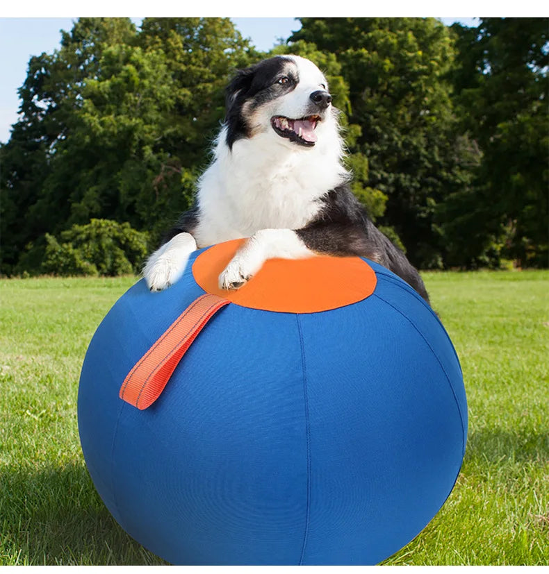 Inflatable Dog Chew Ball