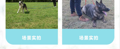 Long Dog Training Leash