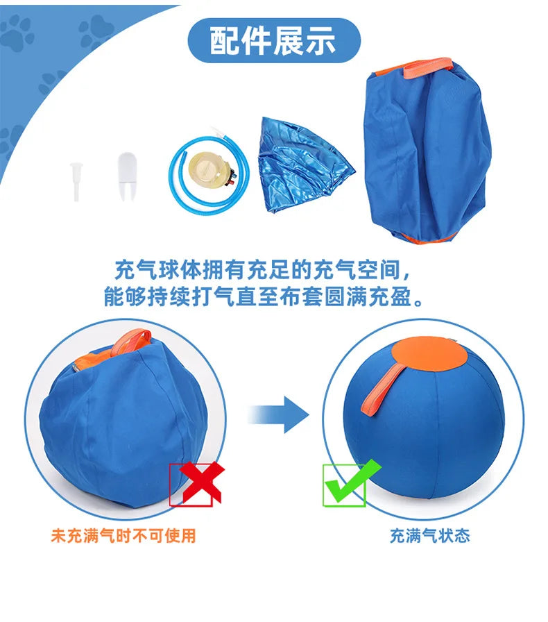 Inflatable Dog Chew Ball
