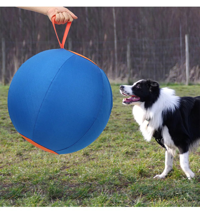 Inflatable Dog Chew Ball