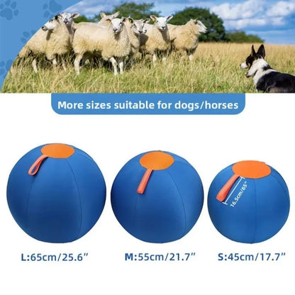 Inflatable Dog Chew Ball
