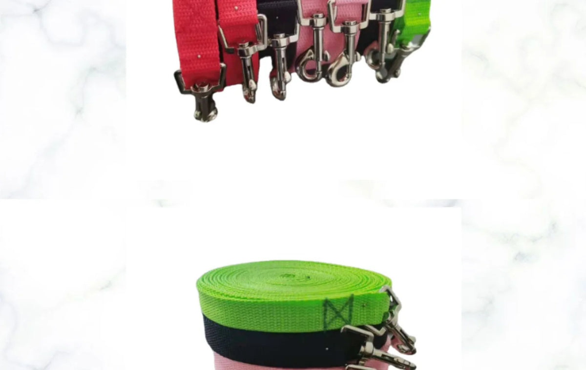 Long Dog Training Leash