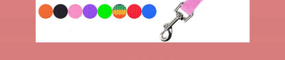 Long Dog Training Leash
