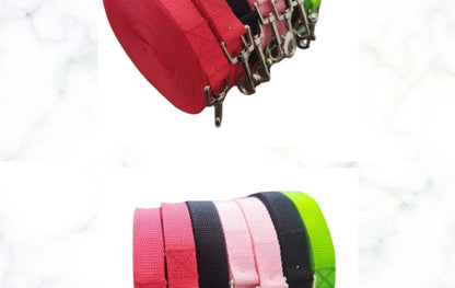 Long Dog Training Leash