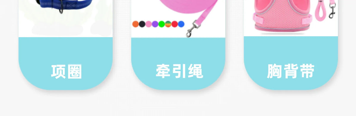 Long Dog Training Leash