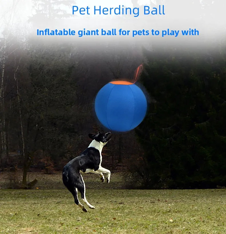 Inflatable Dog Chew Ball
