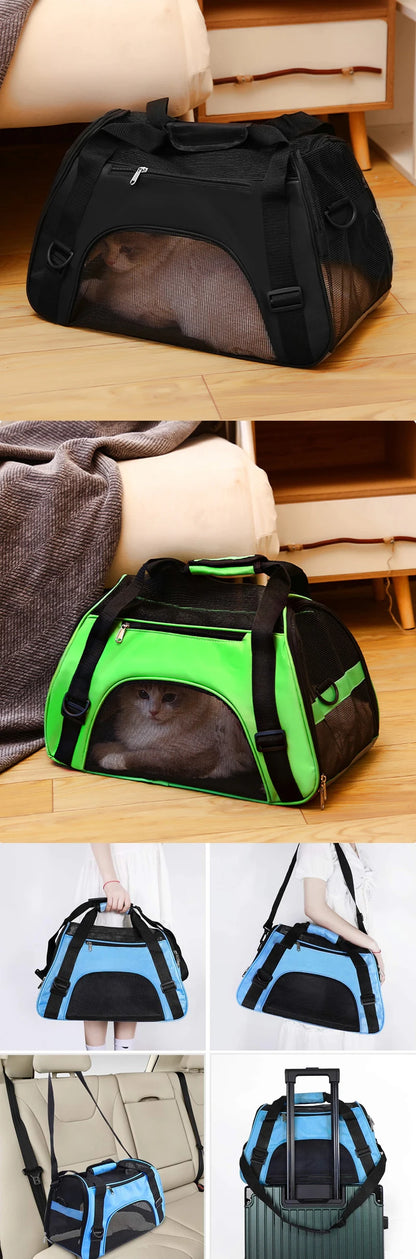 Airline Approved Pet Carrier