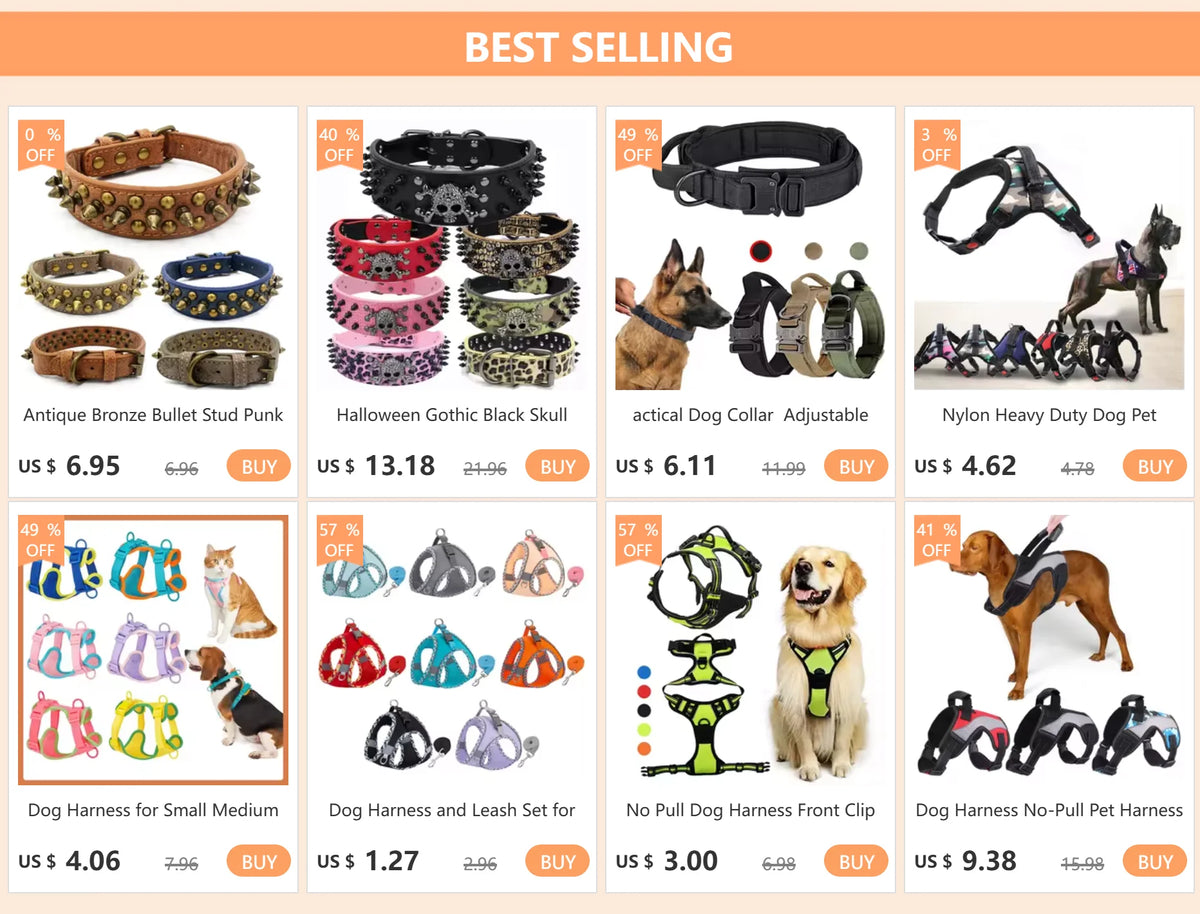 Long Dog Training Leash