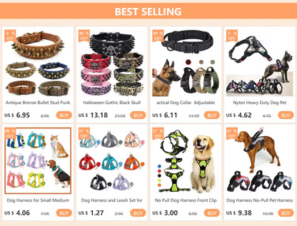 Long Dog Training Leash