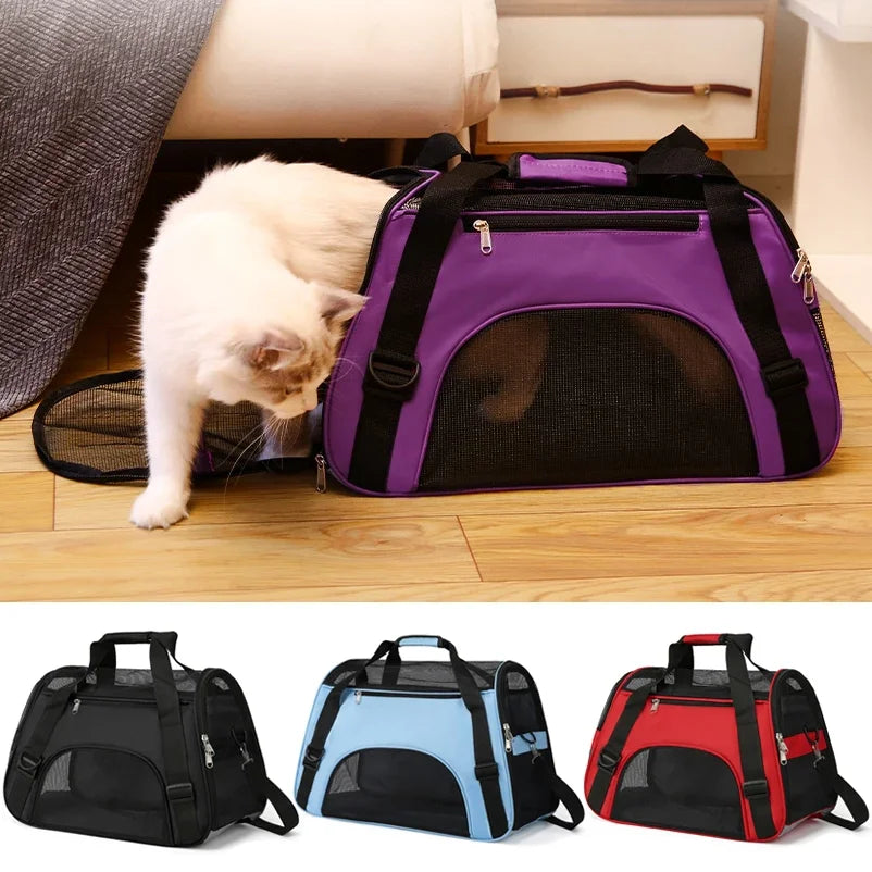 Airline Approved Pet Carrier